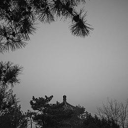 《木卫四协议》恐怖新截图 收藏版雕像实物图赏